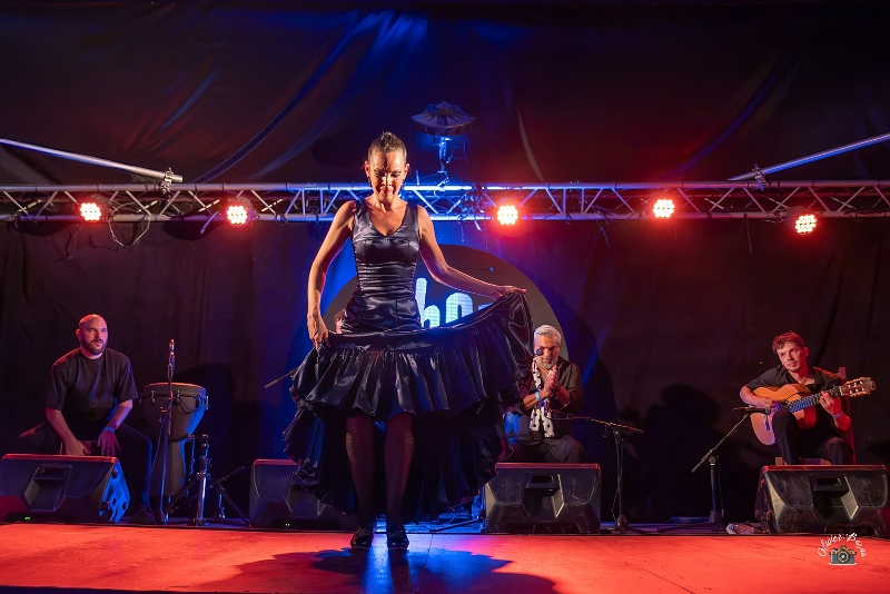 flamenco (115)